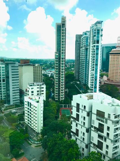 Park Infinia At Wee Nam (D11), Condominium #172733622